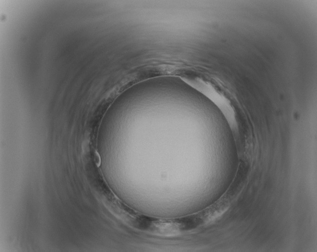 X0000080680221200612301433