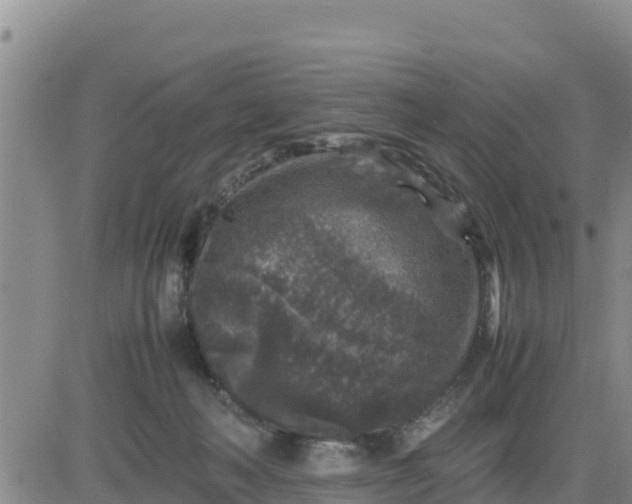 X0000080680222200612301433