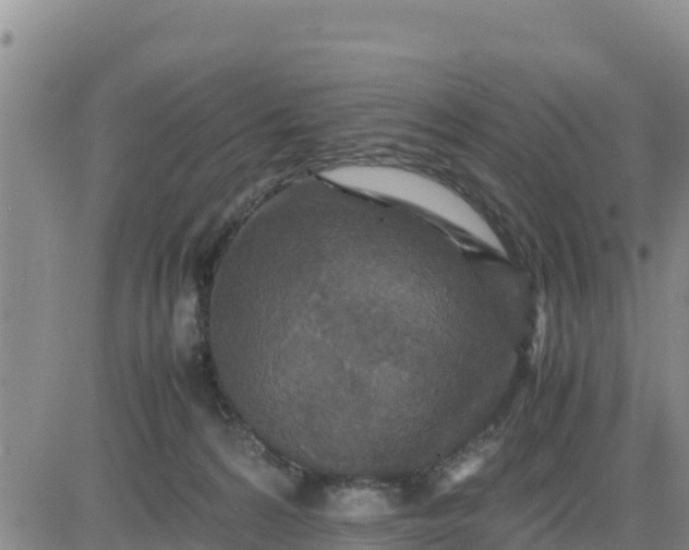 X0000080680224200612301433