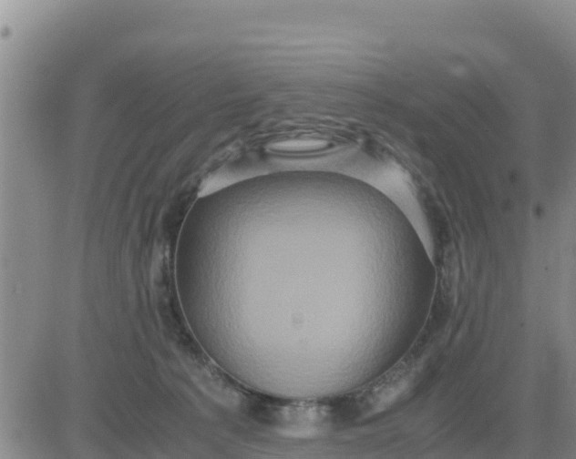 X0000080680225200612301433