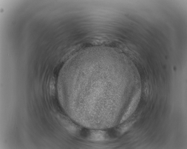 X0000080680226200612301432