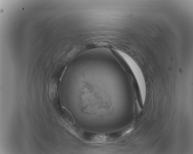 X0000080680227200612301432