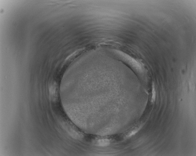 X0000080680228200612301432