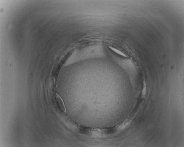 X0000080680229200612301432