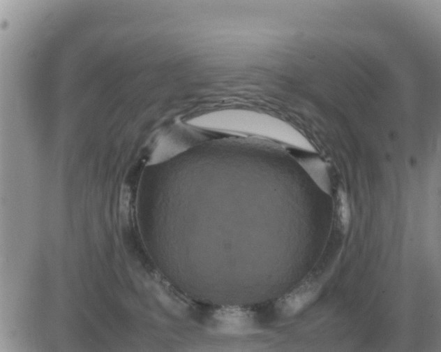 X0000080680231200612301432