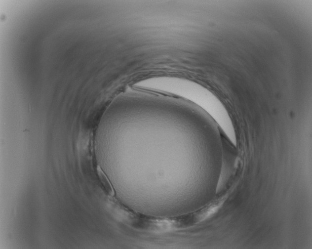 X0000080680233200612301432