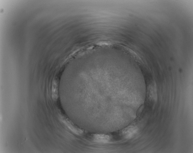 X0000080680234200612301432