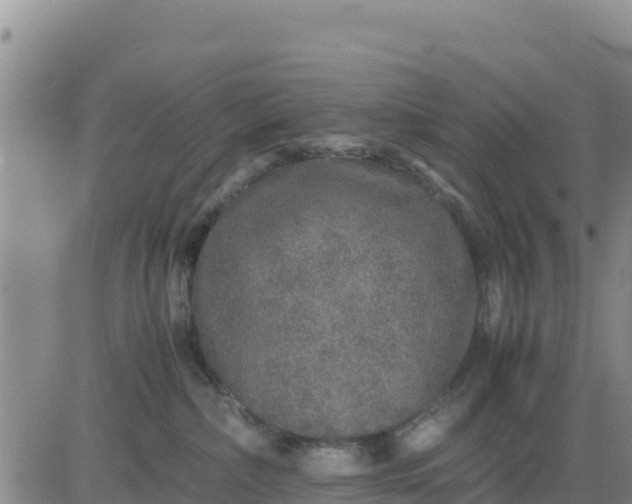 X0000080680236200612301432