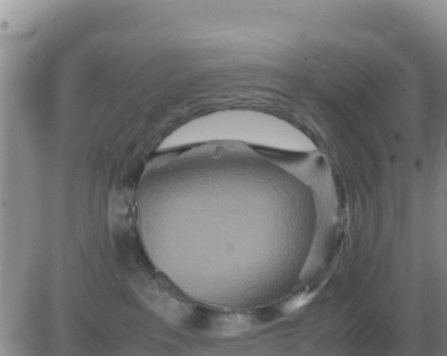 X0000080680237200612301432