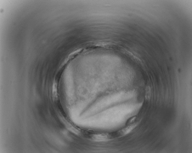 X0000080680238200612301432