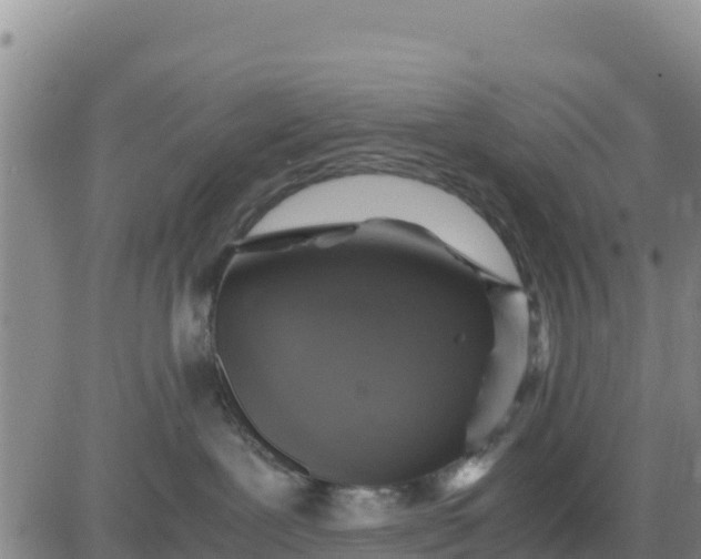 X0000080680239200612301432