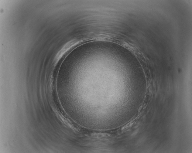 X0000080680242200612301432