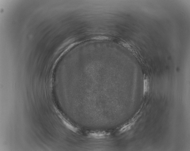 X0000080680243200612301432