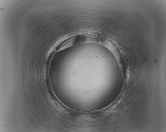 X0000080680244200612301432