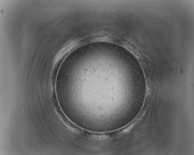 X0000080680245200612301432