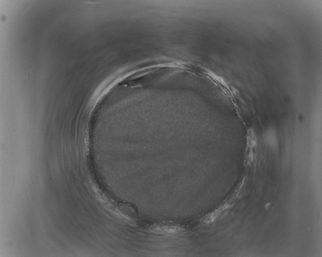 X0000080680247200612301432