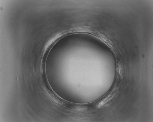 X0000080680248200612301432