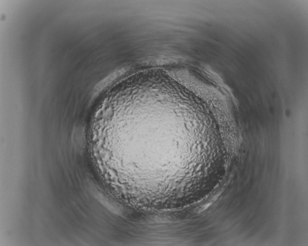 X0000080680250200612301432