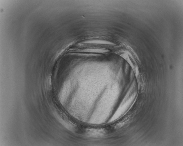 X0000080680251200612301432