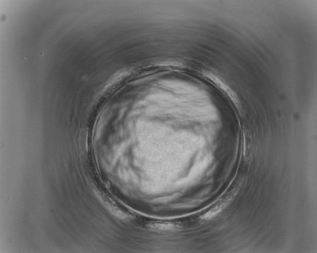 X0000080680253200612301432