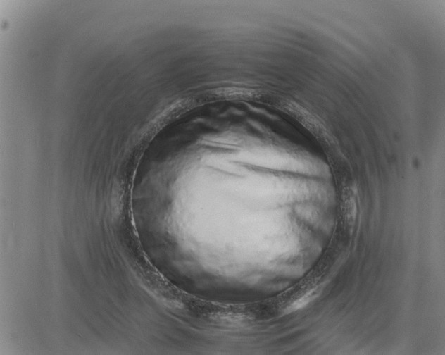 X0000080680255200612301432