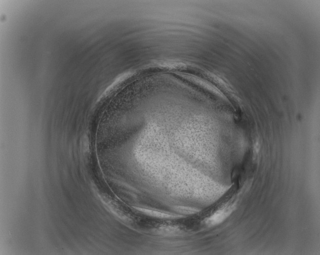 X0000080680256200612301432