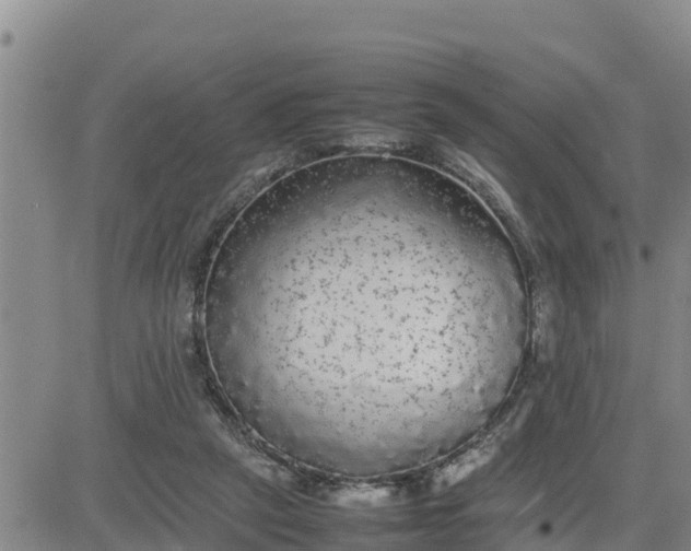 X0000080680257200612301432