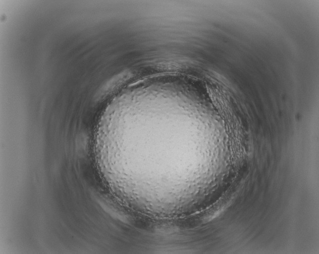 X0000080680258200612301432