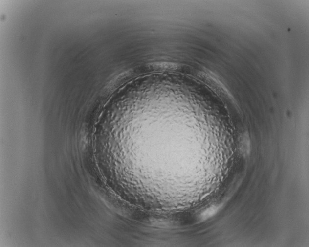 X0000080680259200612301432