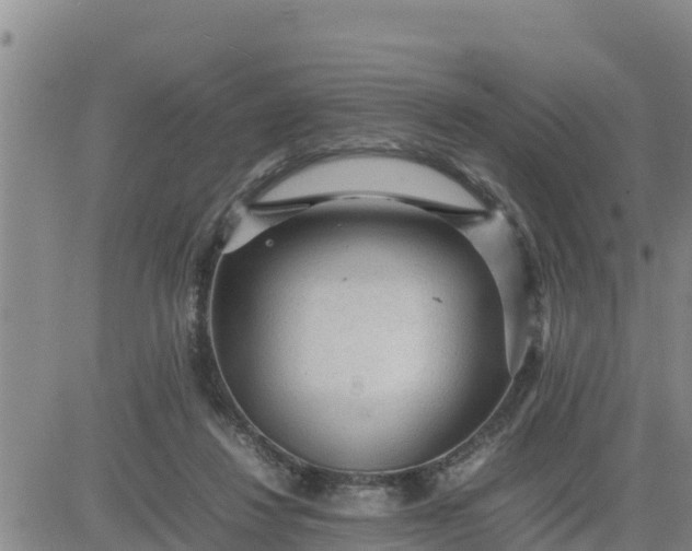 X0000080680260200612301432