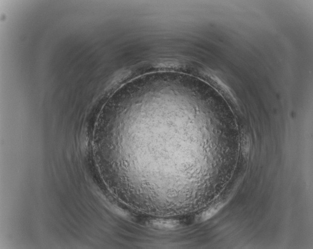 X0000080680261200612301432