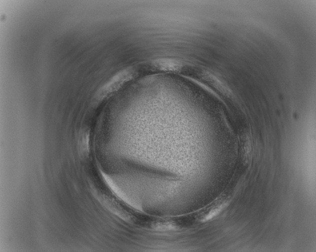 X0000080680262200612301432