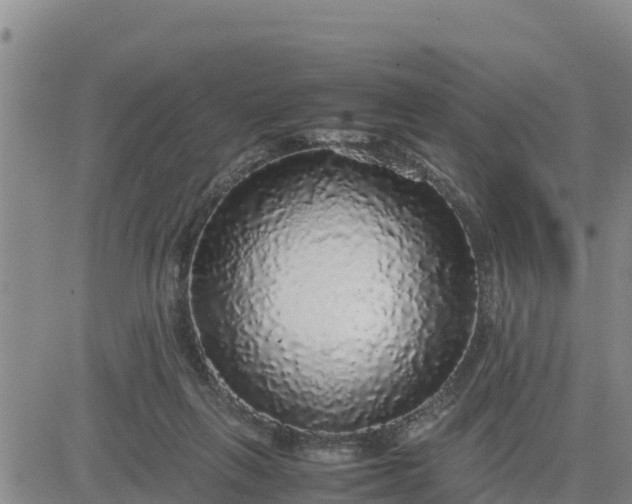 X0000080680263200612301432