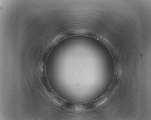 X0000080680264200612301432