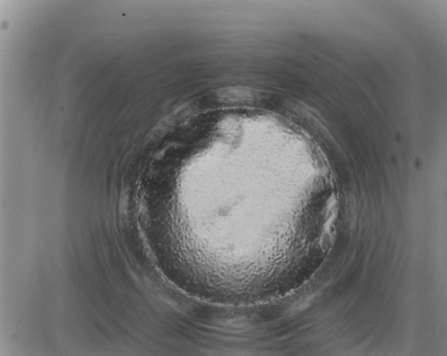 X0000080680267200612301432