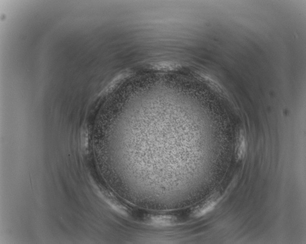 X0000080680268200612301432