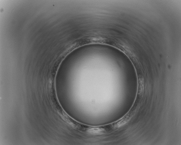 X0000080680269200612301432