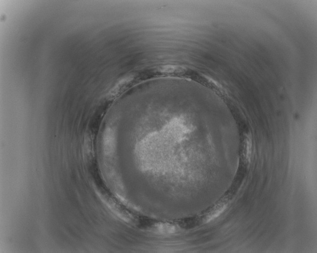 X0000080680272200612301432