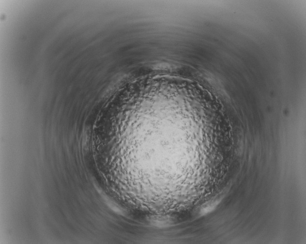 X0000080680273200612301432