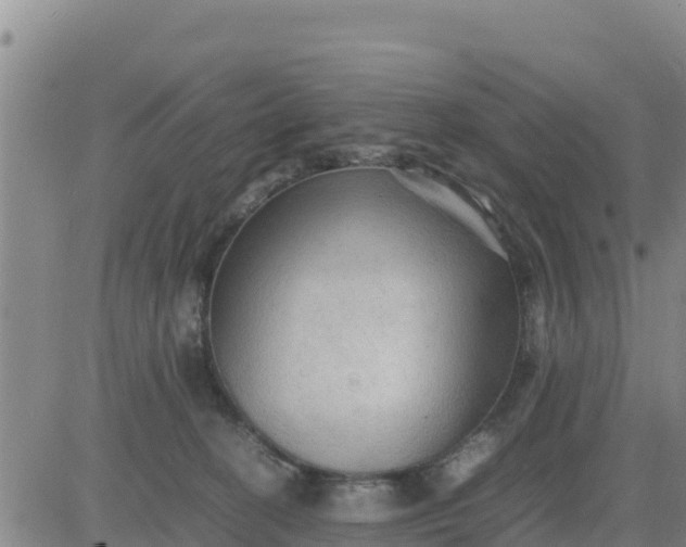 X0000080680274200612301432