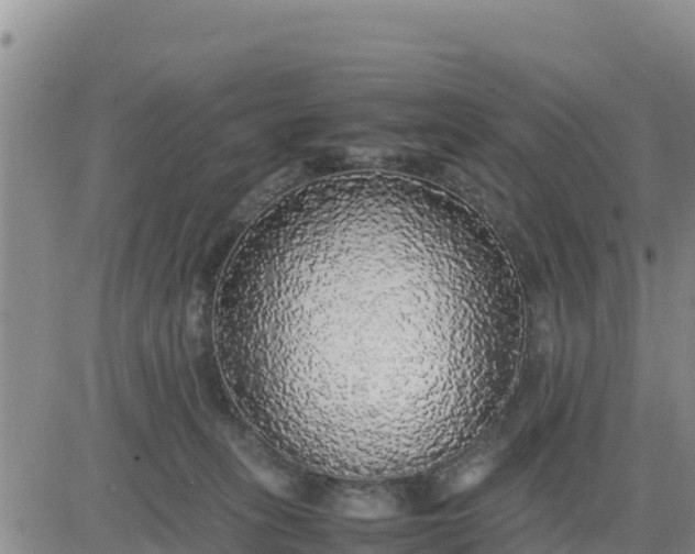 X0000080680275200612301432