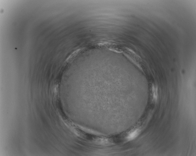 X0000080680276200612301432