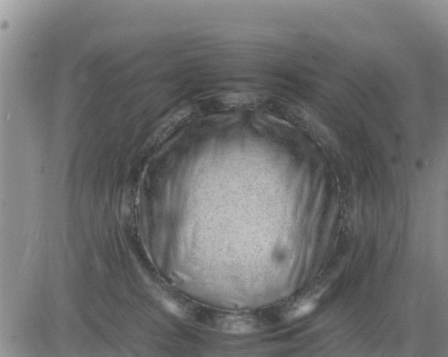 X0000080680277200612301432