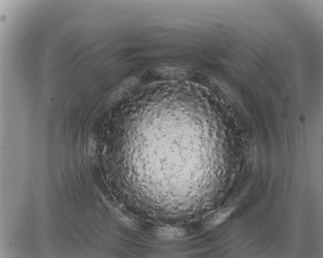 X0000080680281200612301432