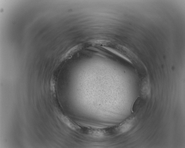 X0000080680282200612301432