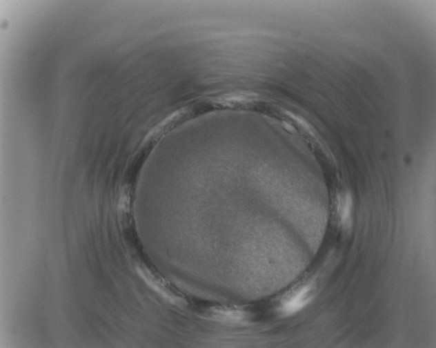 X0000080680284200612301432