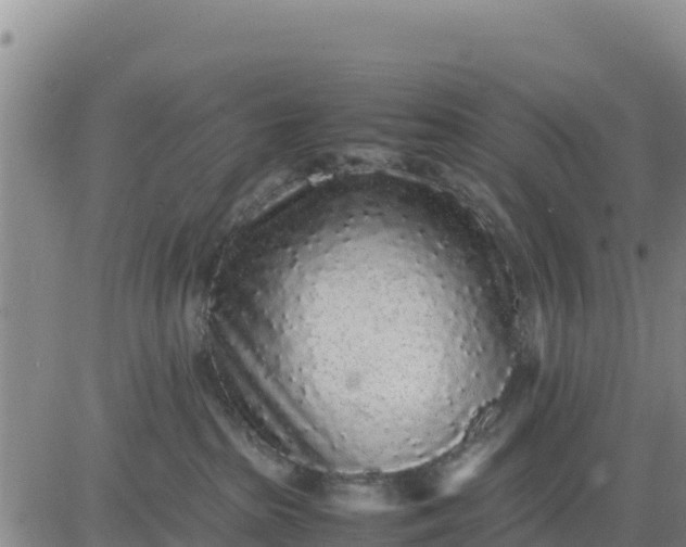 X0000080680285200612301432