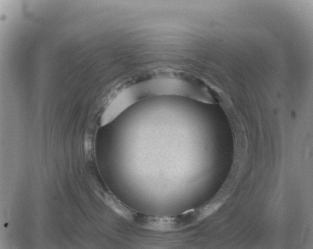 X0000080680288200612301432