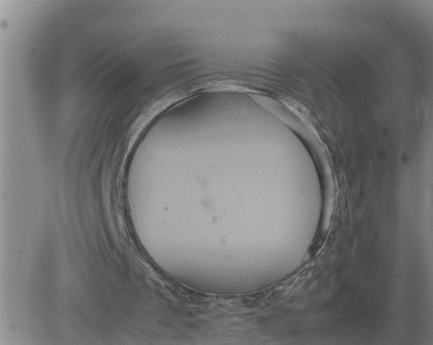 X0000080680289200612301431