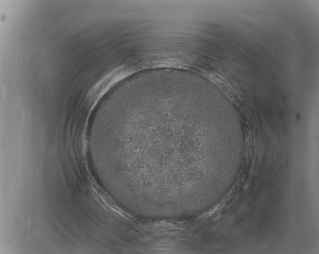 X0000080680290200612301431